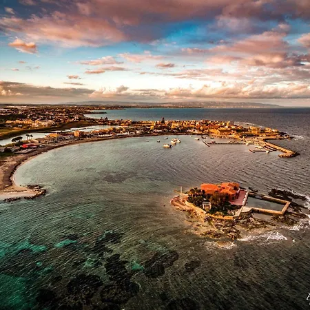 Cuncittina's * 파키노