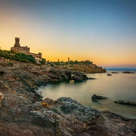 Cuncittina's * 파키노